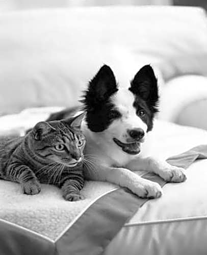 Accent Inns Kamloops