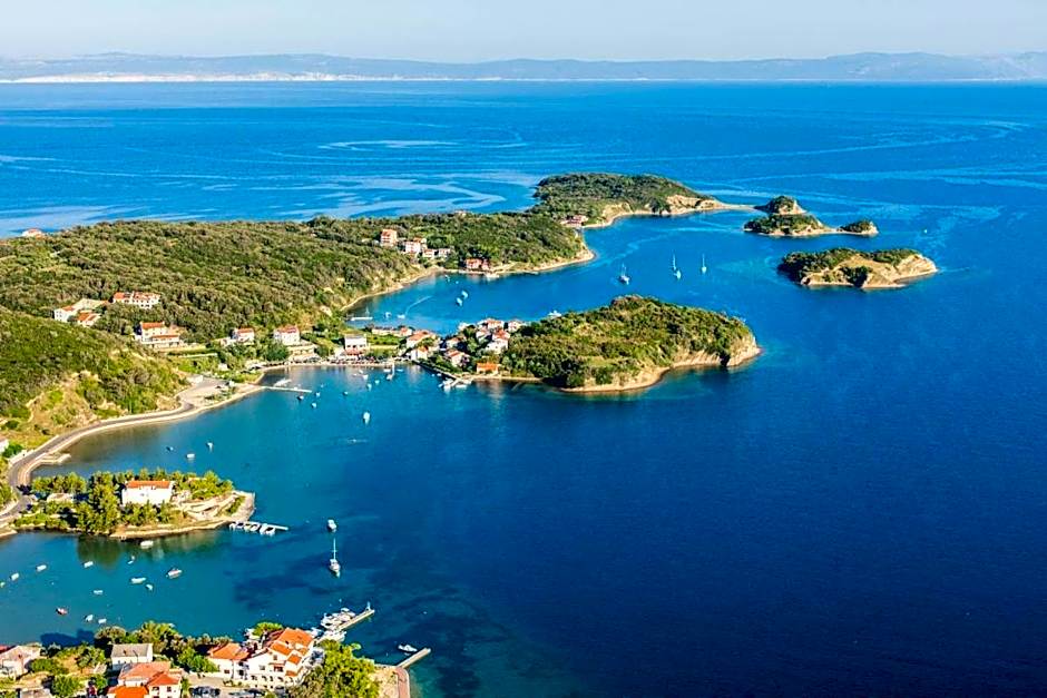 Vacation House Viskic