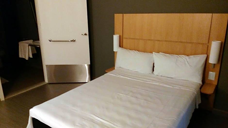 ibis Catalao