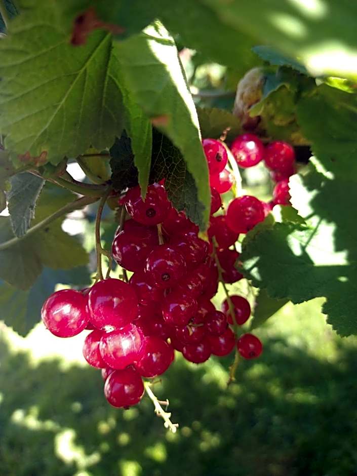 Agroturystyka Cold Sea
