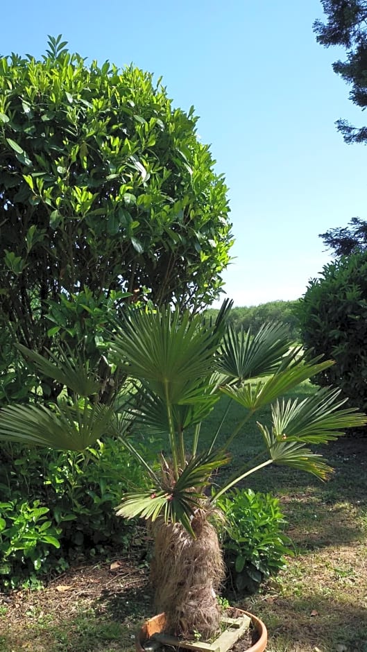 Manoir des Turets