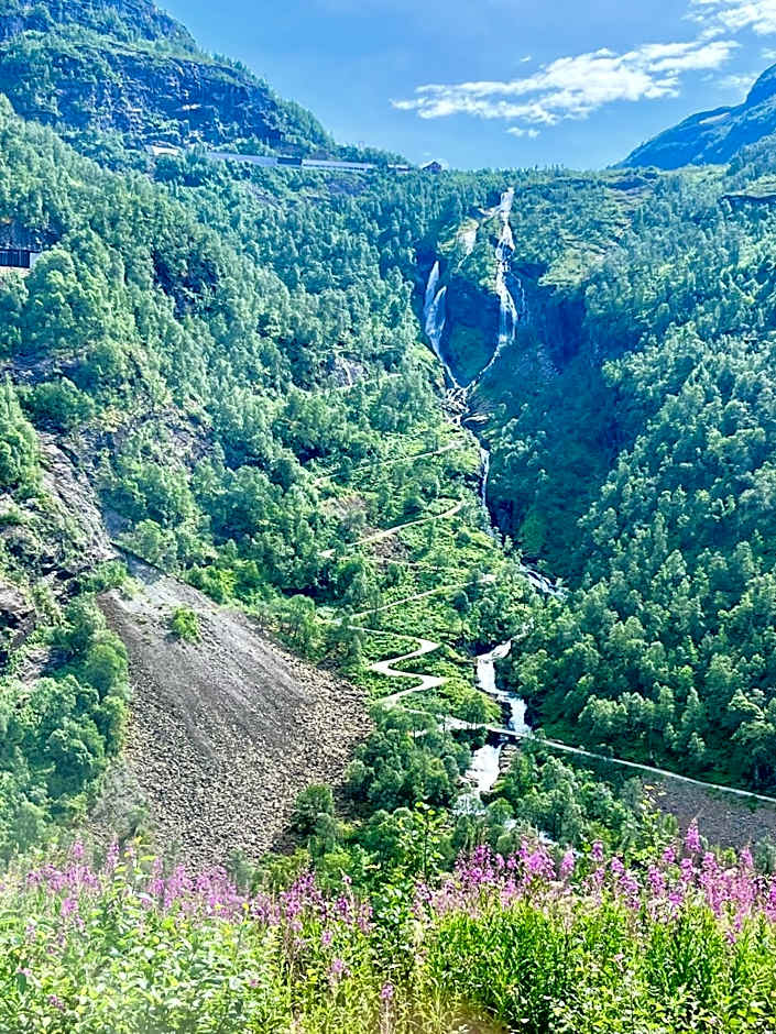 Vatnahalsen Høyfjellshotell