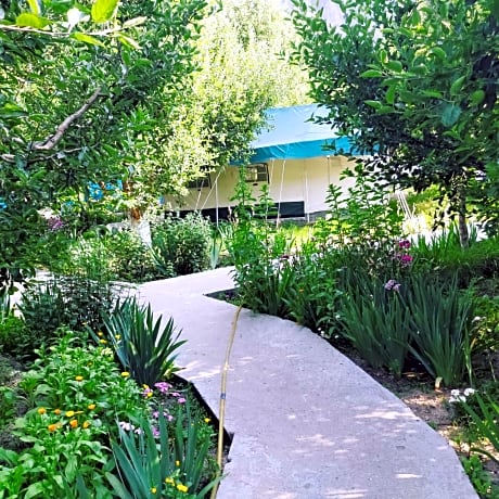 Apple Orchard Farm and Camping