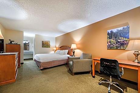 Accessible - 1 Queen, Mobility Accessible, Communication Assistance, Roll In Shower, Non-Smoking, Co
