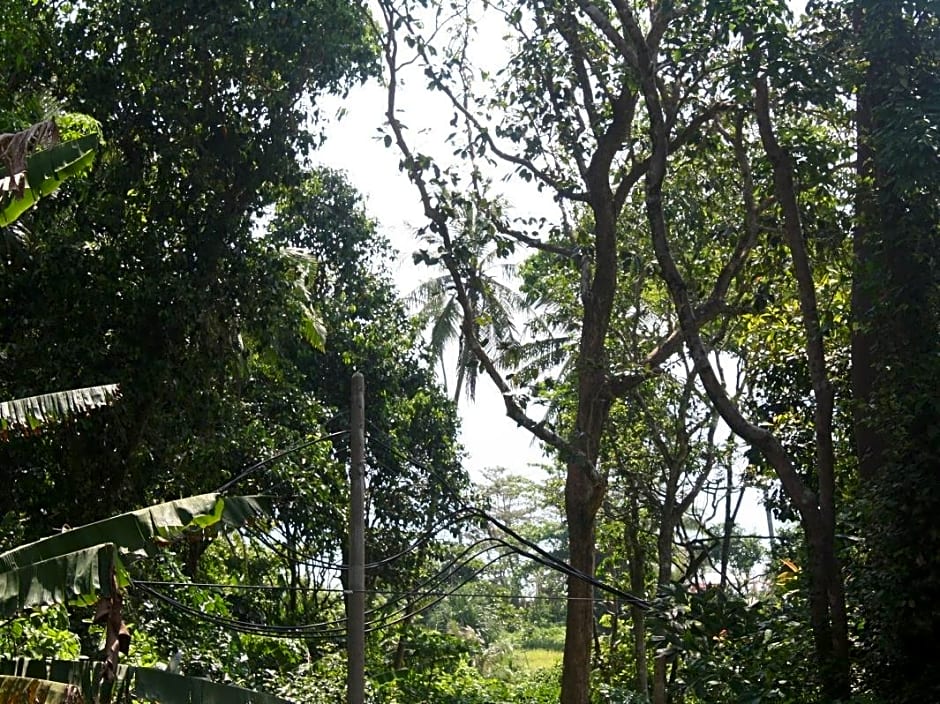 Perhentian Tropicana Inn