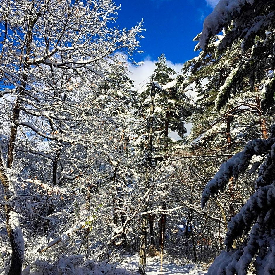 Chateau Lausanne – Hakuba, GA