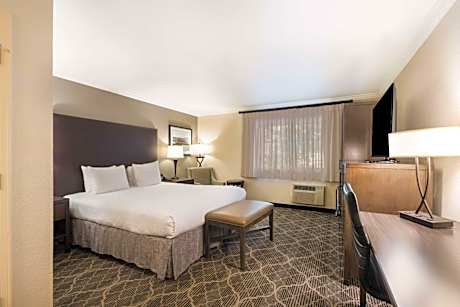 King Room with Roll-In Shower - Mobility Accessible/Non-Smoking