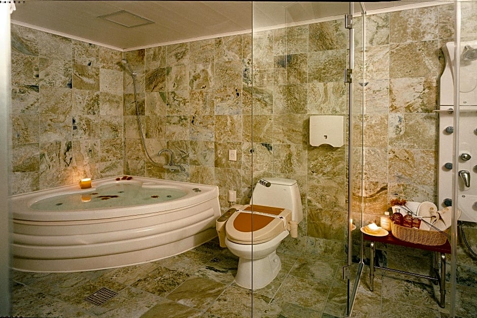 Incheon Airport Hotel June