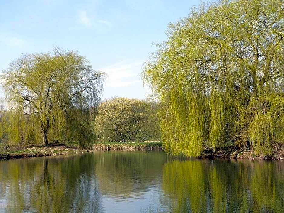 Cameley Lodge - Self Catering