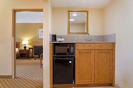 One Bedroom King Suite with Sofa Bed - Non Smoking