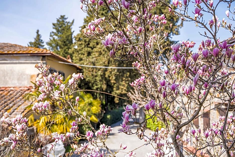 La Magnolia