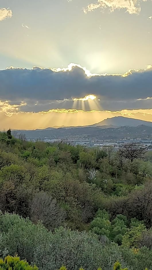 Profumo di Campagna