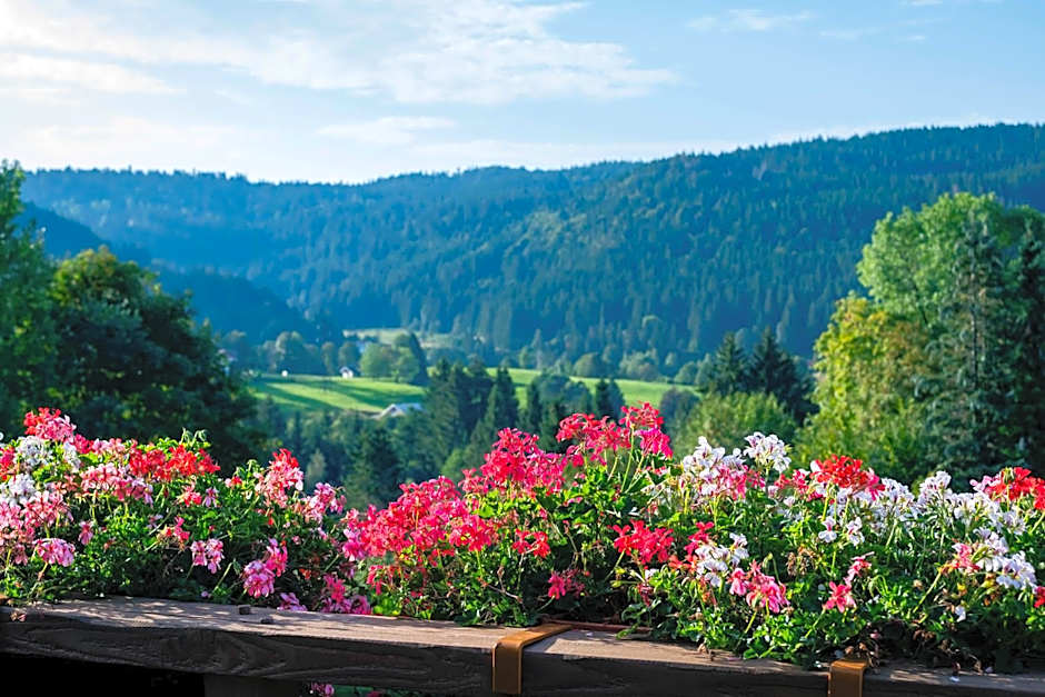 Hôtel-Restaurant Les Bas-Rupts, Singuliers Hôtel