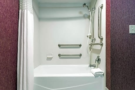 1 King Mobility/Hearing Access W/Tub Nonsmok