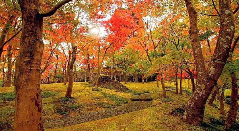 Jemsty Inn Hakone Ashinoko