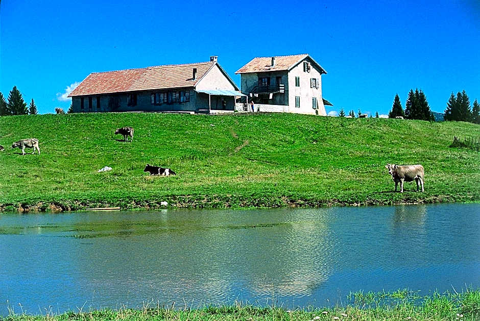 Alaska Clubresidence