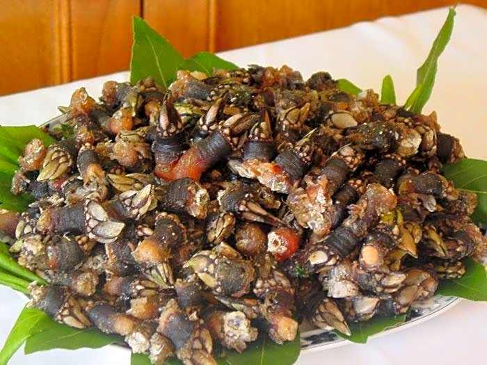 Hotel La Noyesa *** Superior