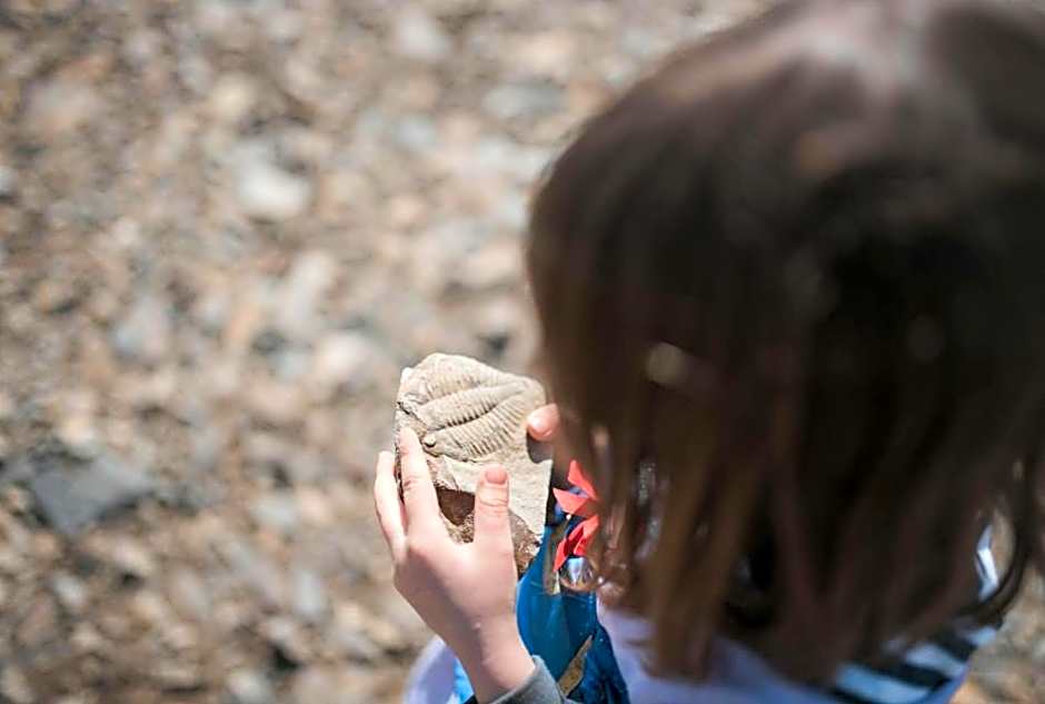 Upper Gilwern Quarry Hut