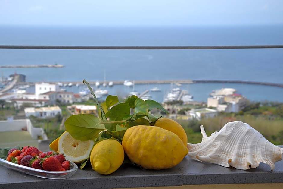 Terra Murata Boutique b&b