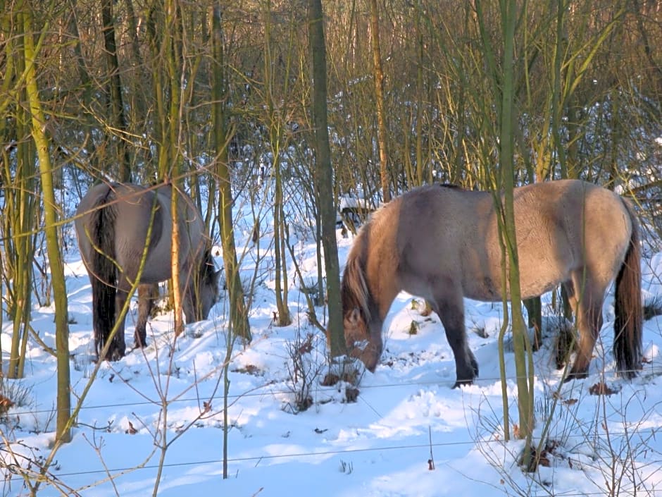 B&B De Grote Plaats