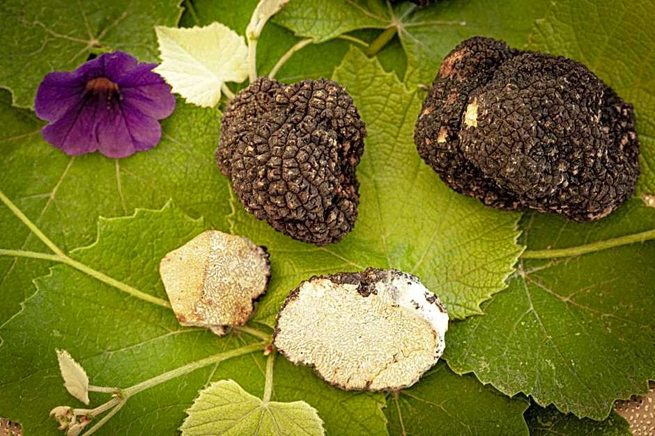 Hotel e trattoria San Giorgio