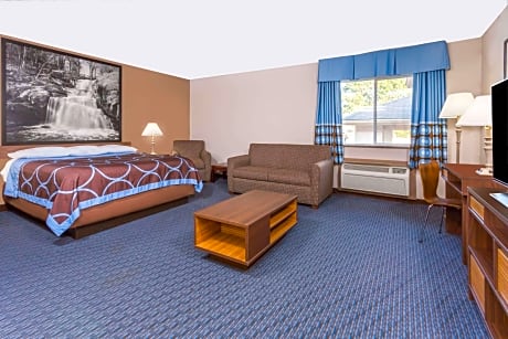 1 King Bed Deluxe Studio Suite Non-Smoking