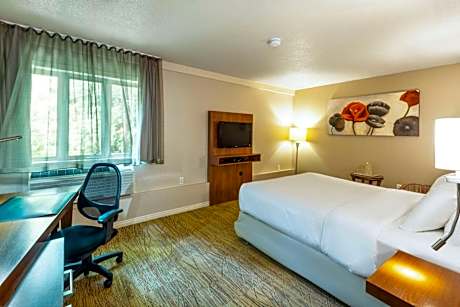 Executive Queen Room