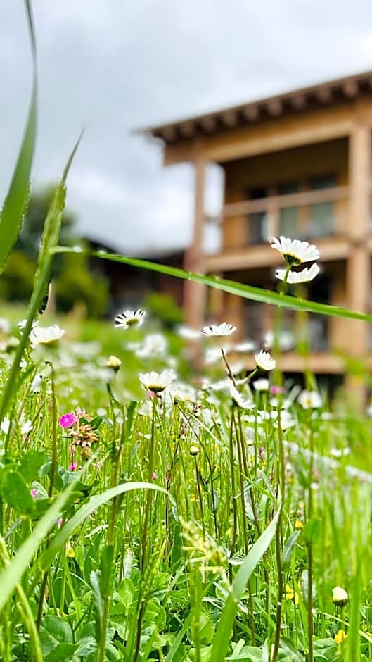 Berglodge Goms (Hotel)