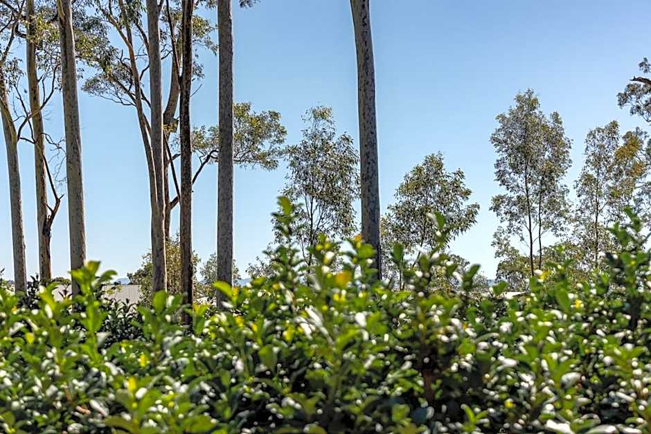 Mala Retreat, Shiraz Suite 5 Star Immaculate and Comfortable