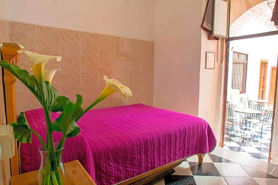 Casa Lupita Hostel