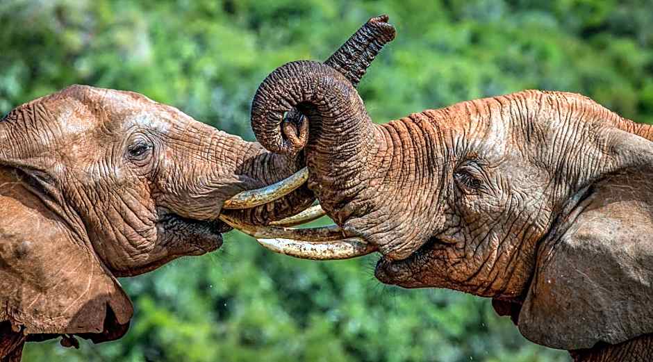 Founders Lodge by Mantis