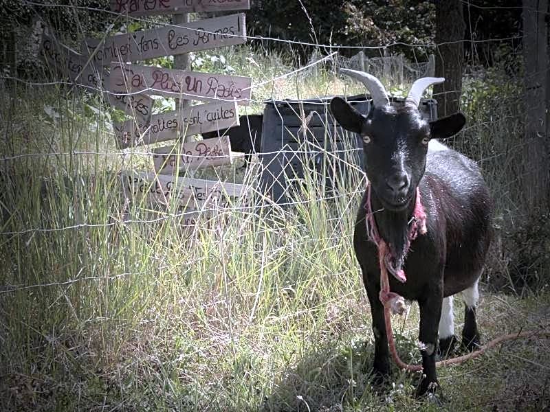La Ferme du Vincin – Vannes, MN