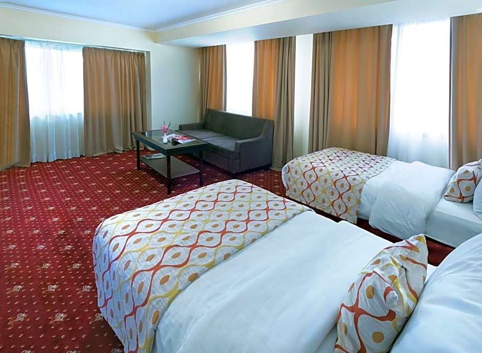 Ani Plaza Hotel