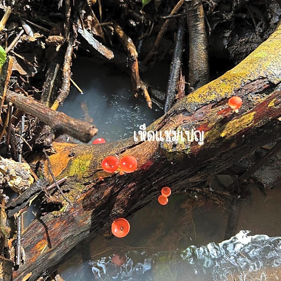 ¿¿¿¿¿¿¿¿¿ ¿¿¿¿¿¿¿ ¿¿¿¿¿¿¿