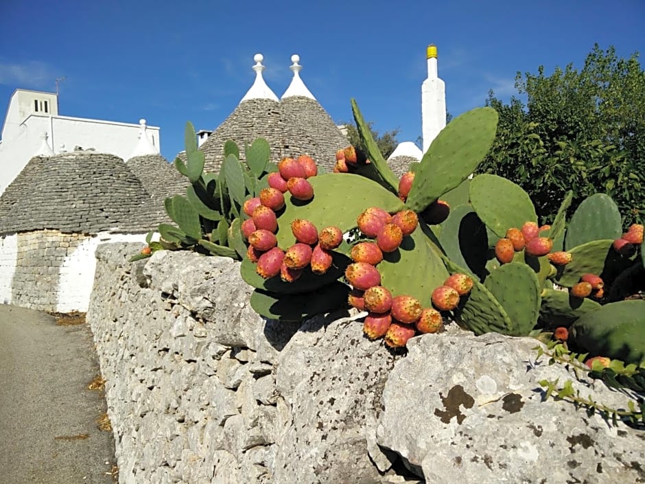 Bed & Breakfast La Collinetta