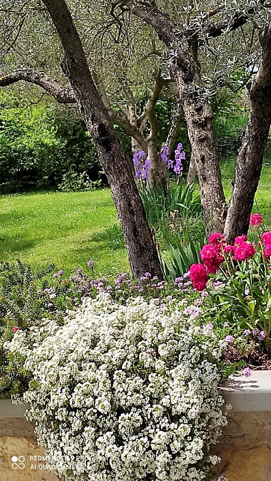 B&B La casina di Iris