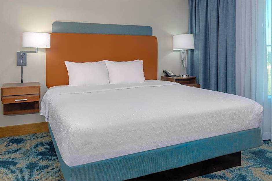 Hampton Inn By Hilton & Suites Tampa Airport Avion Park Westshore