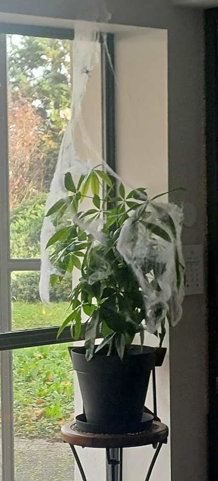 The Originals Access, Hôtel Clermont-Ferrand Nord