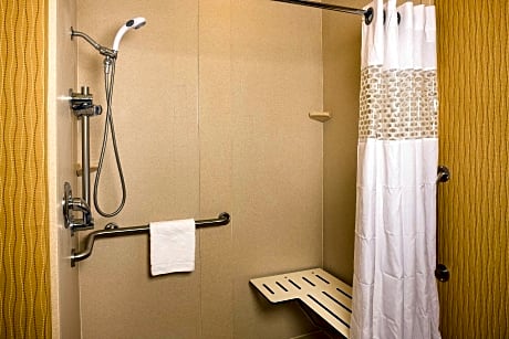 1 king mobility access roll in shower