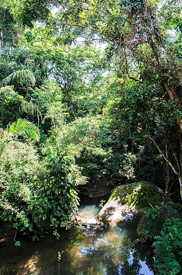 Ytororô O som das águas