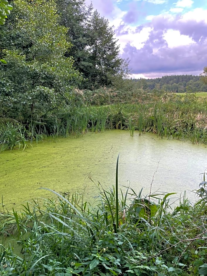 Domek Letniskowy Zacisze Guciów