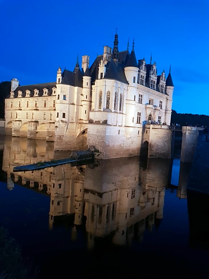 18 châteaux et Beauval sur un rayon de 30 km