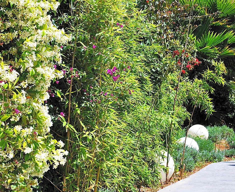 Apartaments B-Llobet Sun & Confort