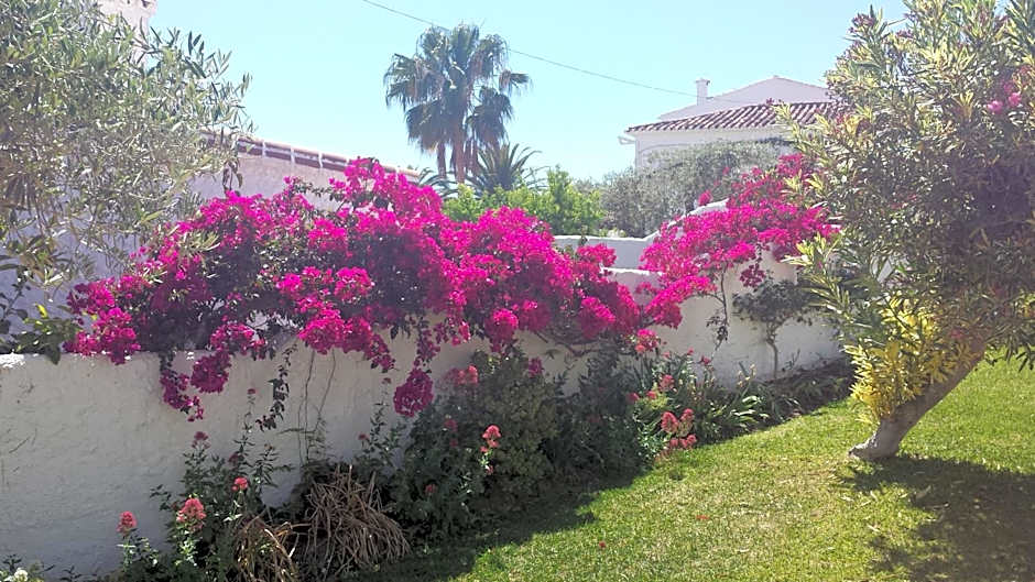 El Capistrano Sur