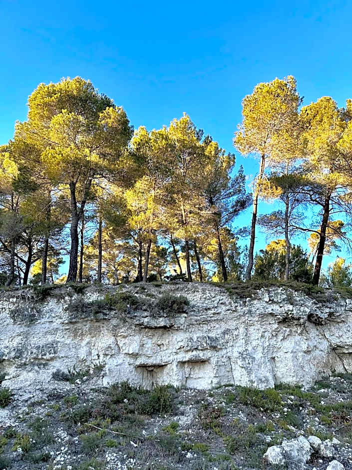 Domaine La Ferme HI bride