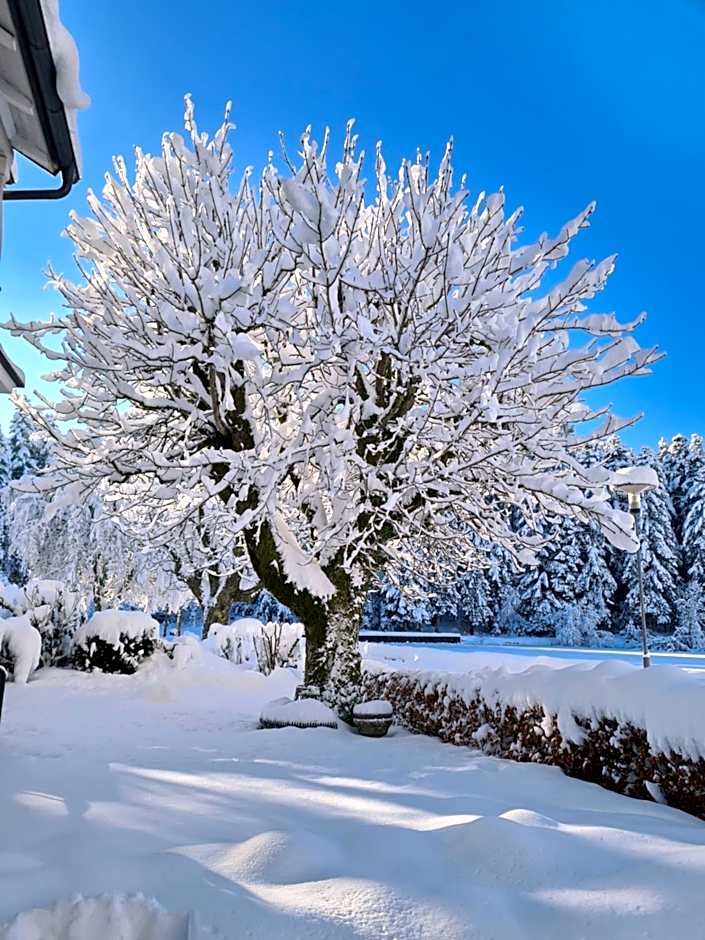 Hotel Waldsee