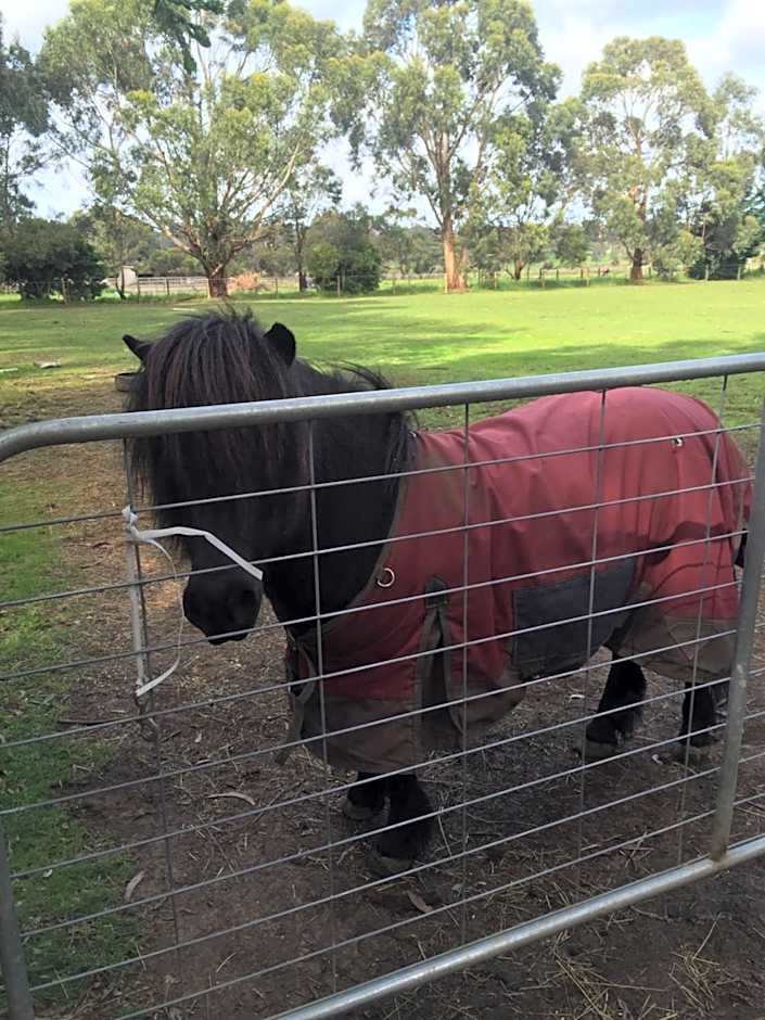 Sherwood Park bed and breakfast