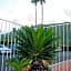 Delos Reyes Palm Springs
