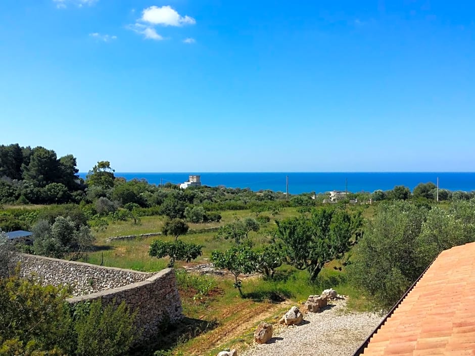 Antica Masseria Ficazzana - Tenuta