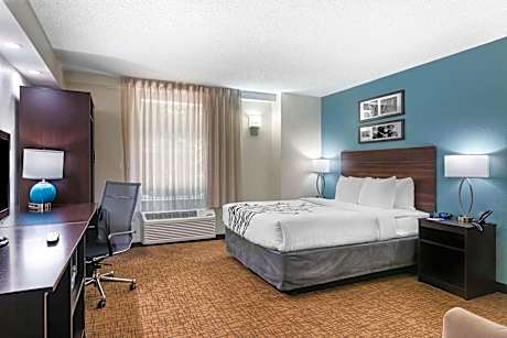 1 Queen Bed, Nonsmoking, Accessible